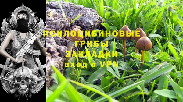 прущий лед Касимов