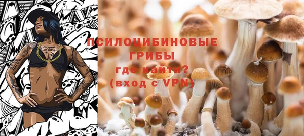 прущий лед Касимов