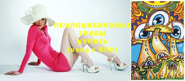 прущий лед Касимов